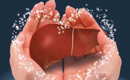 <a href=demo2.html target=_blank class=infotextkey>加博士</a>教你(nǐ)如(rú)何養肝護肝！