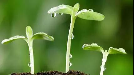 春夏之交情緒變化(huà)大(dà)，<a href=demo2.html target=_blank class=infotextkey>加博士</a>提醒大(dà)家(jiā)小(xiǎo)心“五月(yuè)病”