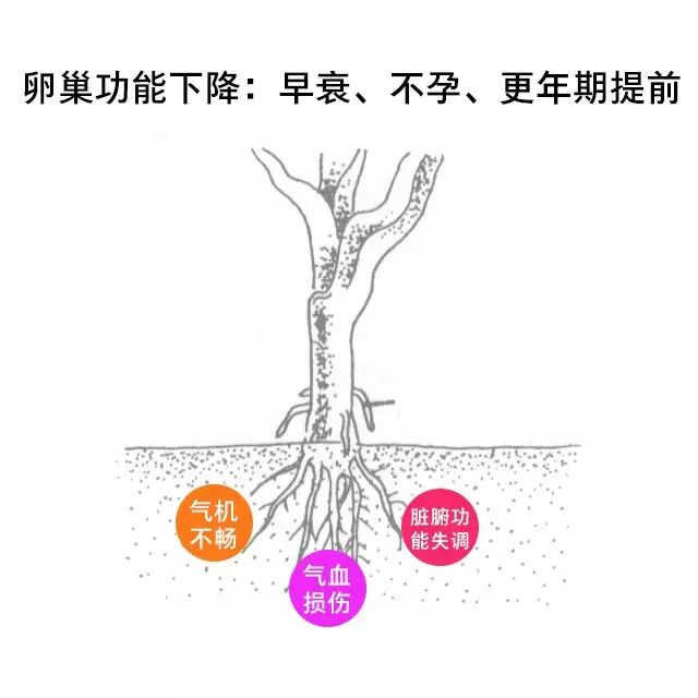 早衰！不(bù)孕！更年(nián)期提前！ 卵巢囊腫手術(shù)對(duì)卵巢功能(néng)影(yǐng)響多(duō)多(duō)2.jpg