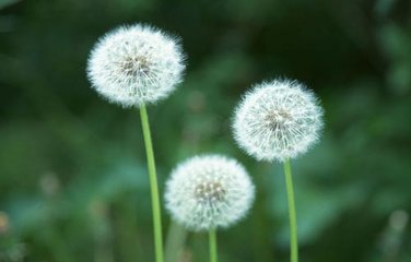 子(zǐ)宮肌瘤其他(tā)相(xiàng)關因素分(fēn)析